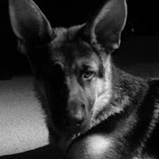 Profile Picture of Jack Cain (@jackcain3828) on Youtube