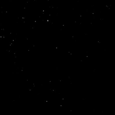 Profile Picture of Paul Mouawad148 (@l_ouzi) on Tiktok