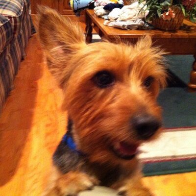 Profile Picture of Mike (@mike_matel) on Twitter