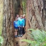 Profile Picture of Tracie Farmer (@we.r.farmers) on Instagram