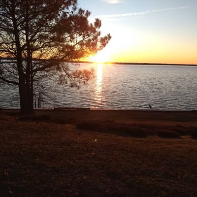 Profile Picture of Cecil Lucas (@CecilLucas) on Twitter
