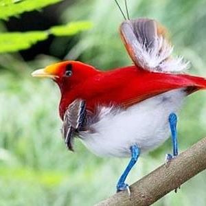 Profile Picture of Omar Badwan (@Omar-Badwan) on Facebook