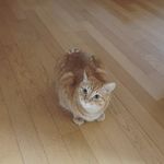 Profile Picture of Eugene Hong (@mytoristar) on Instagram