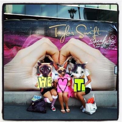 Profile Picture of Kelli & Rachael (@TaylorSwift_K_R) on Twitter
