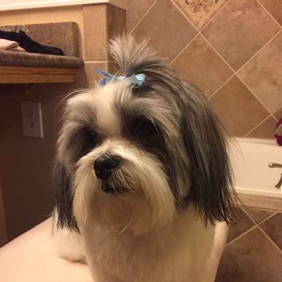 Profile Picture of Jessica Oconnor (@joconnor11) on Poshmark