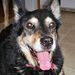 Profile Picture of James Goucher (@jgoucher63) on Pinterest