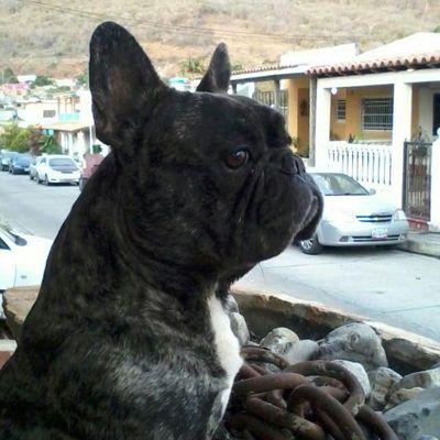 Profile Picture of Daniel Fariñas (@c01191c70d7d497) on Twitter