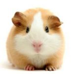 Profile Picture of Zachary barker (@ztb57150) on Instagram