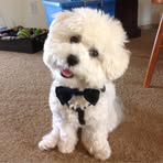 Profile Picture of Lori L Ducy Hubbell (@arnie.hubbell) on Facebook