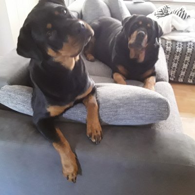 Profile Picture of Jillian Doran (@Jilliandoran2) on Twitter