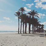 Profile Picture of Matthias Braun (@jamonchen78) on Instagram