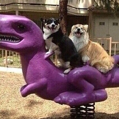 Profile Picture of Elena Y Craig (@ChocoChinchilla) on Twitter