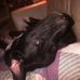 Profile Picture of James Brinegar (@james.brinegar.75) on Facebook