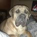 Profile Picture of Clint Harmon (@clint.harmon.779) on Facebook