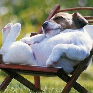 Alexander Mednikov - Twitter Profile Picture of Alexander Mednikov (@hotdog377) on Twitter