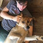 Profile Picture of Ryan Davey (@rdavey425) on Instagram