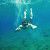 Profile Picture of dave brooker (@brooker19971997) on Pinterest