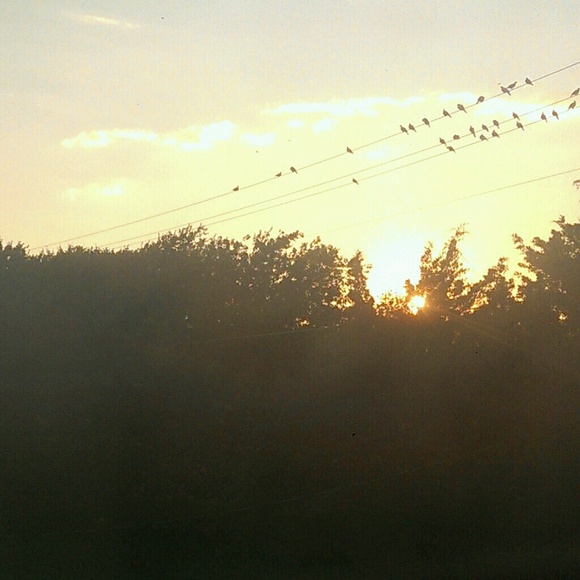 Profile Picture of Ayven Beardmore (@ayvenator) on Poshmark