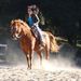 Profile Picture of Rebecca Dambach (@beckdambach) on Pinterest