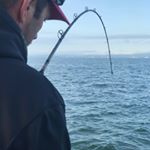 Profile Picture of Ian Kessler (@iankessler) on Instagram