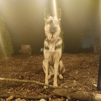 Profile Picture of James Hignett (@JamesHignett6) on Twitter