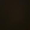 Profile Picture of ama_sche (@amanda_sche) on Tiktok