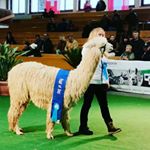 Profile Picture of Peter Bienek&Evelyn Eckl (@biohof_gut_herrnberg) on Instagram