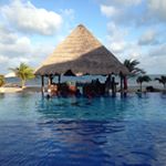 Profile Picture of Michael Bean (@michaelbeaner) on Instagram