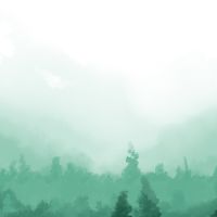 Profile Picture of Forrest (@shop.forrest) on Tiktok