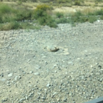 Profile Picture of Eric Reuter (@EricReuter5) on Twitter