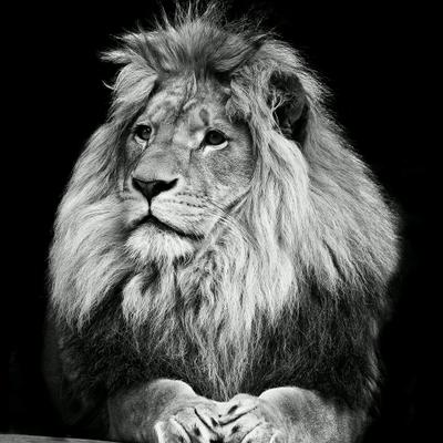 Profile Picture of Brian Rocha (@brianrocha2738) on Twitter