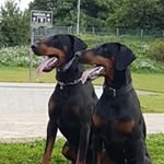 BONNIE&JOEY - Instagram Profile Picture of BONNIE&JOEY (@bonniejoey) on Instagram