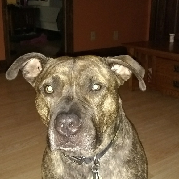 Profile Picture of Seth Abrahamson (@sethabrahamson) on Poshmark