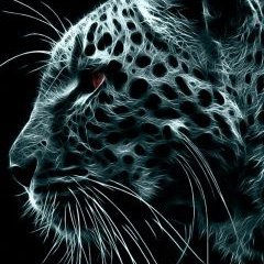 Profile Picture of Minerva Hidalgo (@MinervaHidalgo3) on Twitter