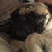 Profile Picture of Joshua Zapata (@joshua.zapata.714) on Facebook