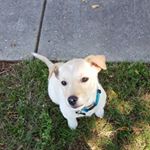 Profile Picture of John Smith (@michael.stipes.716) on Instagram