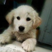 Profile Picture of Andres Manuel Tejeda (@andrestejeda201) on Twitter