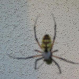 Profile Picture of Marshall Kendrick (@384146106) on Myspace