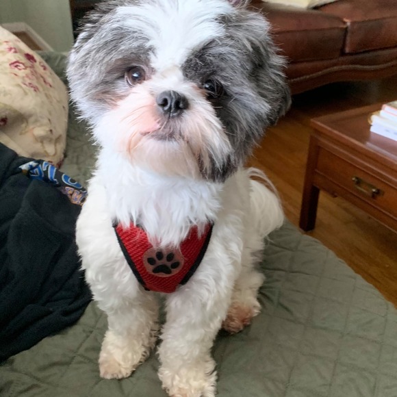 Profile Picture of Jacob Fluker (@jacobfluker) on Poshmark