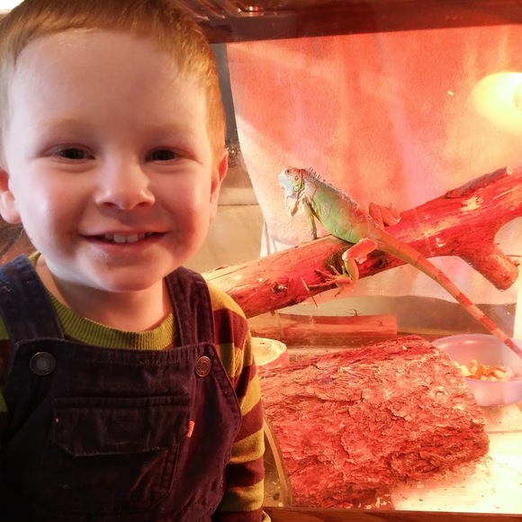 Danielle Hastings - Poshmark Profile Picture of Danielle Hastings (@hastings1778) on Poshmark