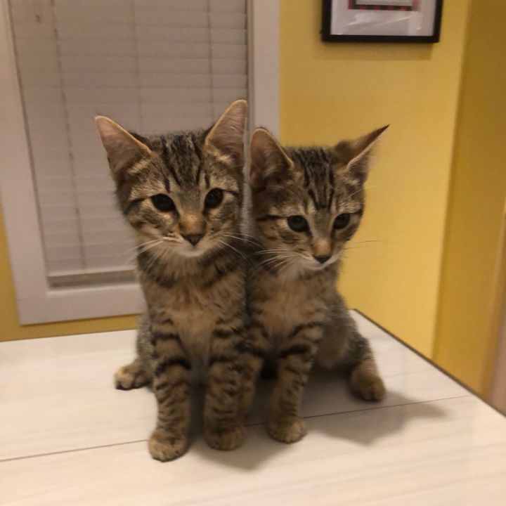 Profile Picture of   We are the SuperHeros!... (@clark.bruce) on Tiktok