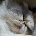 Profile Picture of Mark Hennekij (@markhennekij) on Instagram