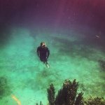 Profile Picture of Joel Brantham (@jbrantham) on Instagram
