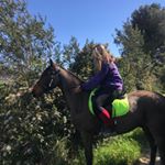 Profile Picture of Diego_des_vignes (@diego_alicia_13) on Instagram