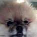 Profile Picture of Joseph Antonowicz (@joseph.antonowicz.5) on Facebook