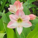 Profile Picture of Sylvia Spence Kowalke (@sylviakowalke) on Instagram