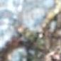 Profile Picture of Tracy Pool (@tracy.pool.7505) on Facebook