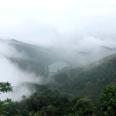 Profile Picture of Zoe Leach (@JNLC2020) on Twitter