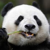 Profile Picture of Julia Wong (@juliawong4141) on Youtube