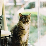 Profile Picture of Lee Woo (@Equation&Fish) on Flickr